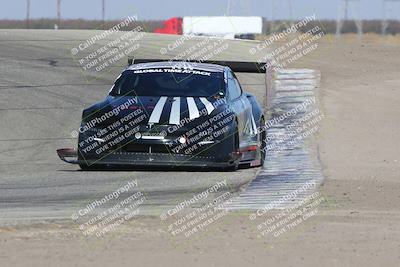 media/Nov-09-2024-GTA Finals Buttonwillow (Sat) [[c24c1461bf]]/Group 1/Session 3 (Outside Grapevine)/